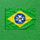 巴西国家足球队旗帜